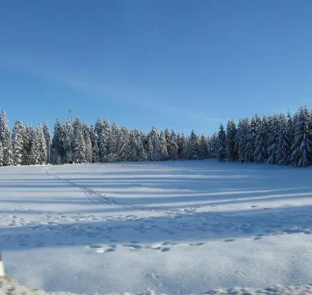 Ferienwohnung Bodehexe 2 Braunlage Buitenkant foto