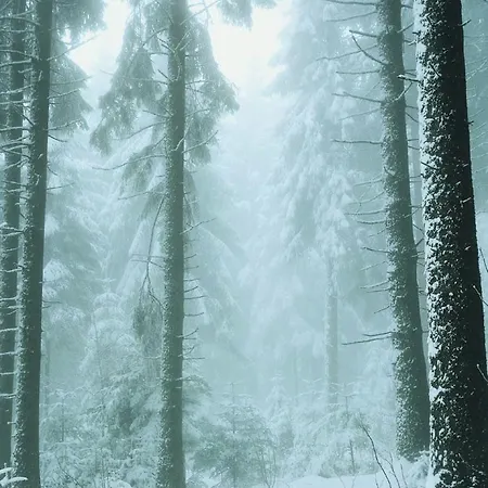 Ferienwohnung Bodehexe 2 Braunlage Buitenkant foto